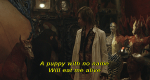 strange-circus-puppy