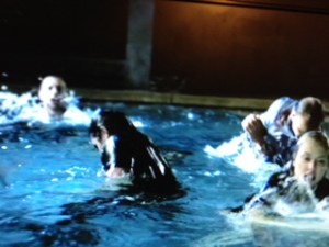 shark week 3