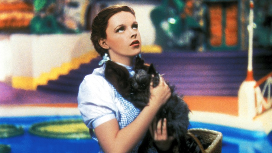 THE WIZARD OF OZ, Judy Garland