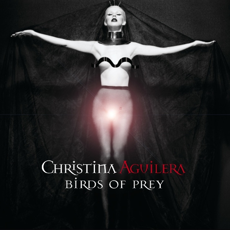 christina birds of prey.jpg