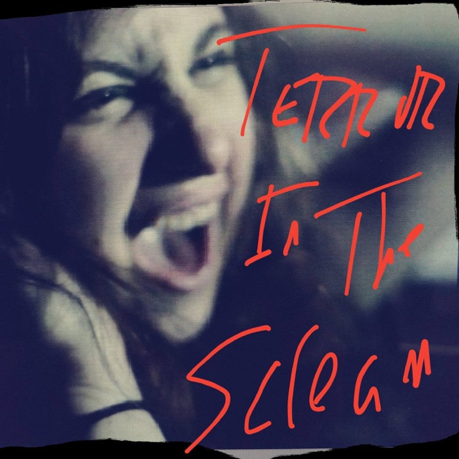 Terror in the Scream